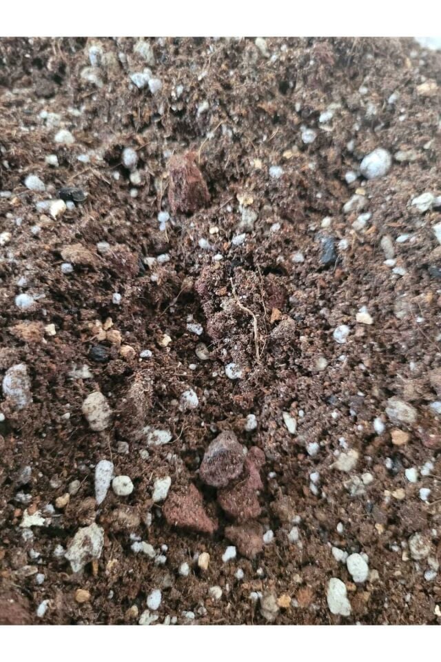 Kaktüs Sukulent Toprağı 5 Litre- Yüksek Kalite, İthal Torf Karışımlı