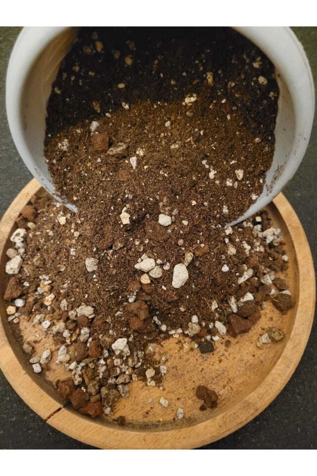 Kaktüs Sukulent Toprağı 5 Litre- Yüksek Kalite, İthal Torf Karışımlı
