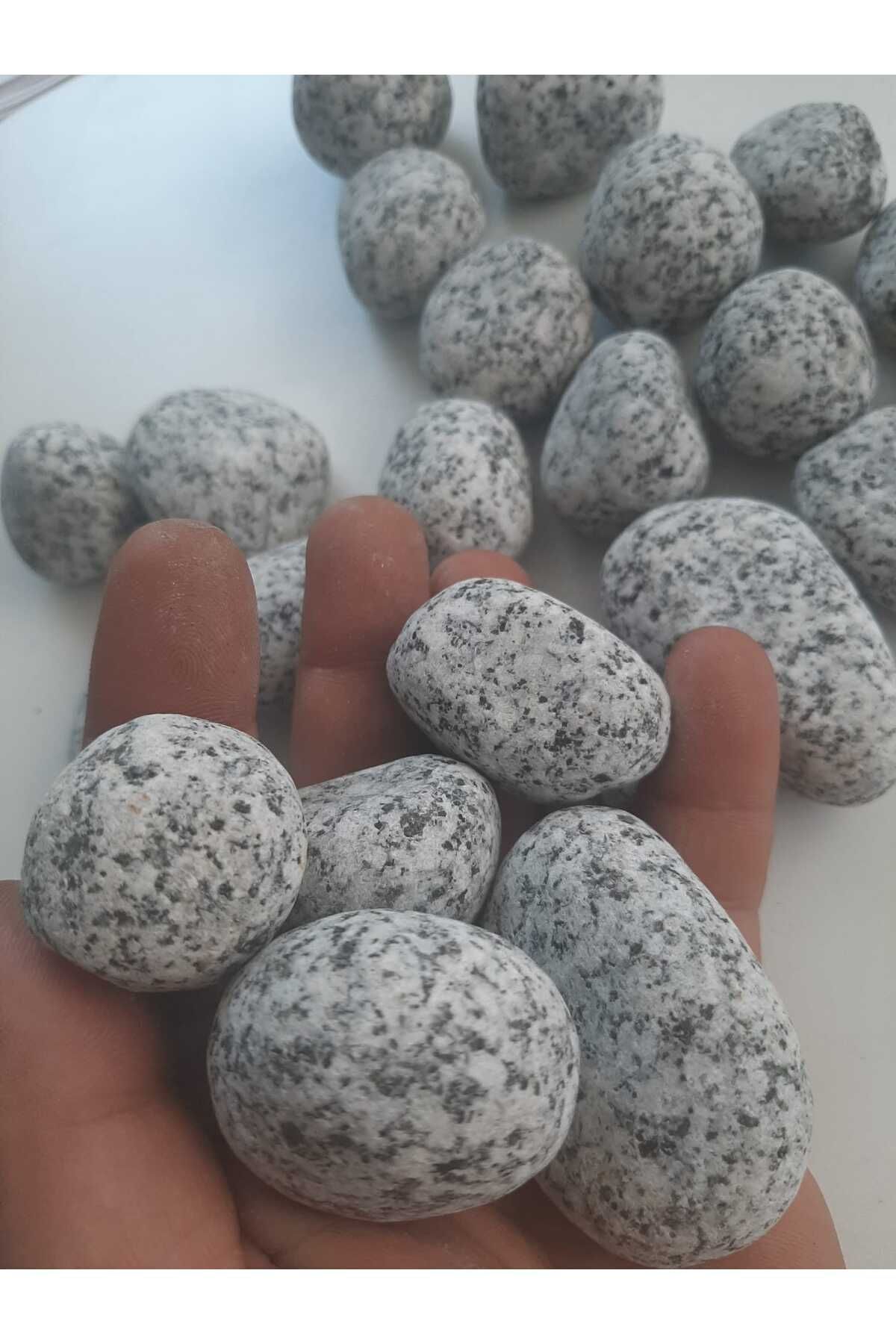 Su Doğaltaş 1 kg Granit Taşı 2-4 cm Bahçe Süsü ve Akvaryum  Dere Çakılı Benekli Taş Siyah Beyaz Taş