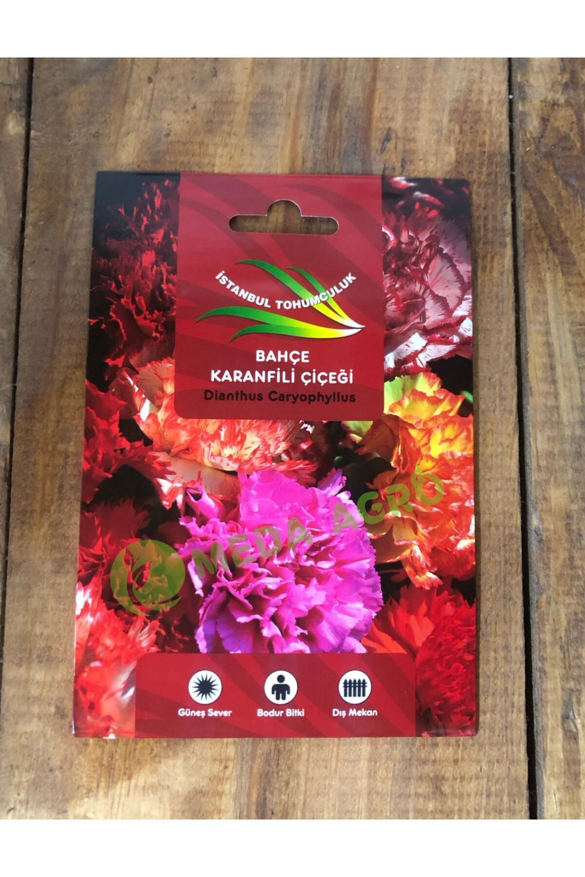 Bahçe Karanfili Çiçeği Tohumu