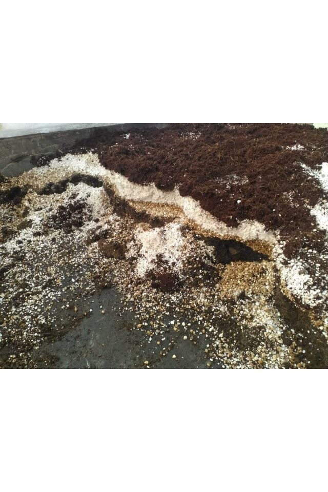 Çiçek Toprağı Ve Kaktüs Sukulent Toprağı 3 Lt.