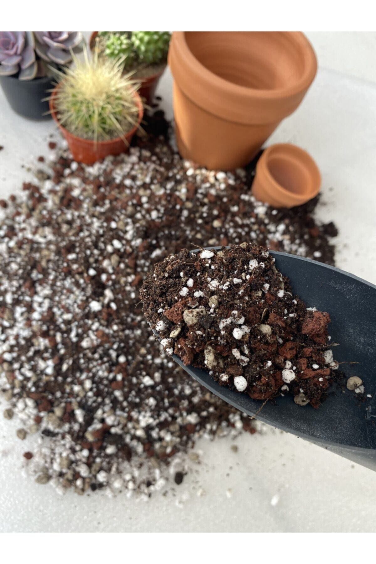 Kaktüs Sukulent Toprağı 5litre Ithal Torf 5 Karışımlı Teraryum Toprak Cocopeat Perlit Lav Deretaşı